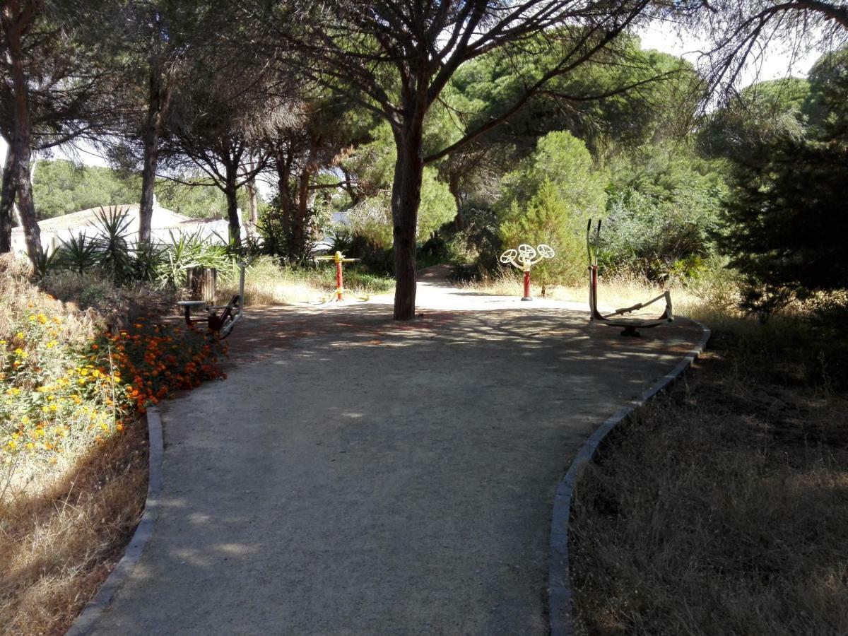 Apartamento En Los Patios De Santa Maria Golf Marbella Eksteriør billede
